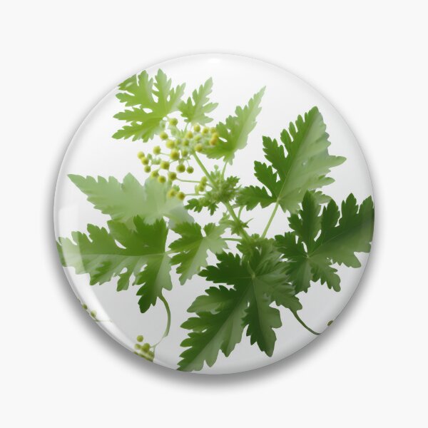 Item preview, "Mugwort: Bridging the Gap Between Ancient and Modern Healing" designed and sold by Kriebelt.