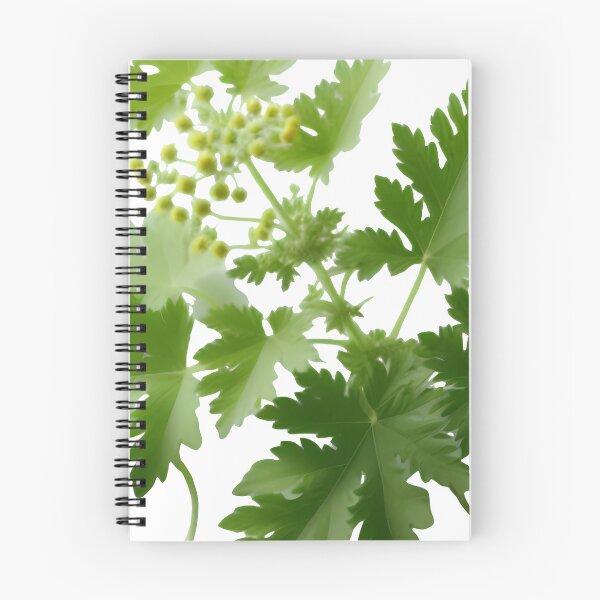 Item preview, "Mugwort: Bridging the Gap Between Ancient and Modern Healing" designed and sold by Kriebelt.