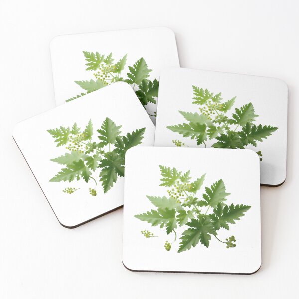Item preview, "Mugwort: Bridging the Gap Between Ancient and Modern Healing" designed and sold by Kriebelt.