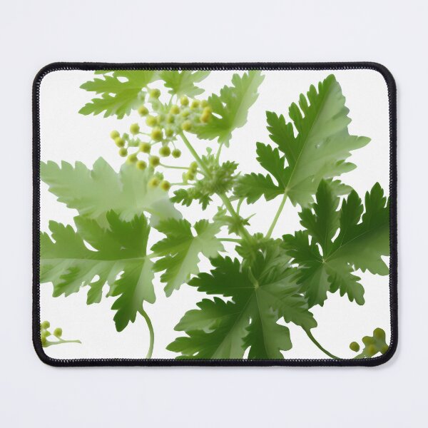 Item preview, "Mugwort: Bridging the Gap Between Ancient and Modern Healing" designed and sold by Kriebelt.