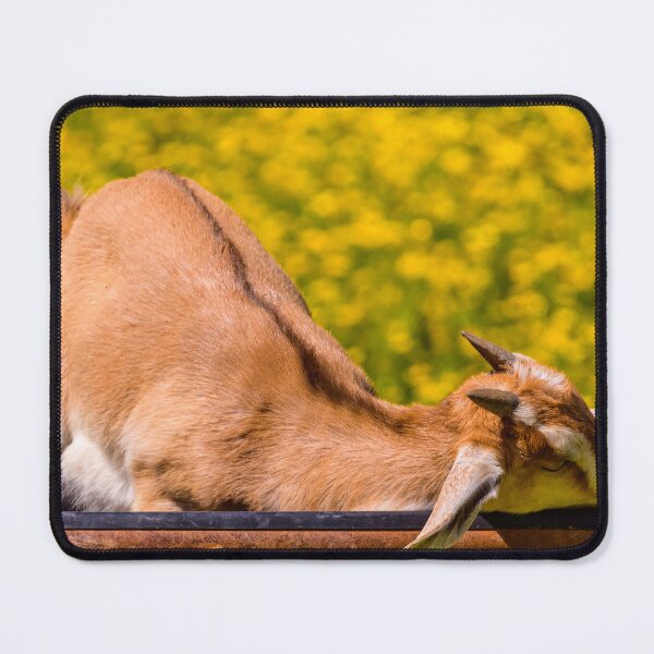 Item preview, I Love This Trough designed and sold by Jim Love.