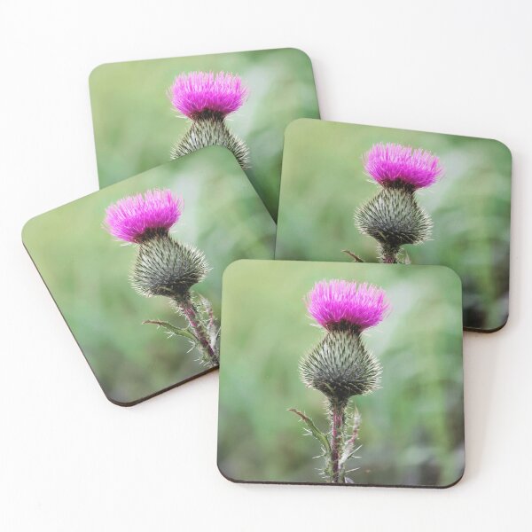 Item preview, Flower of Scotland designed and sold by Tom McPherson Photography.