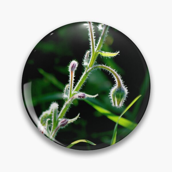 Item preview, Graceful Borage  designed and sold by photoclique.