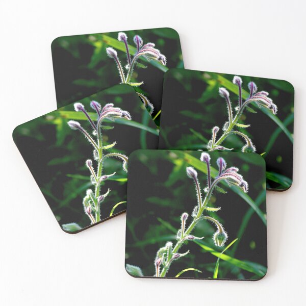 Item preview, Graceful Borage  designed and sold by photoclique.