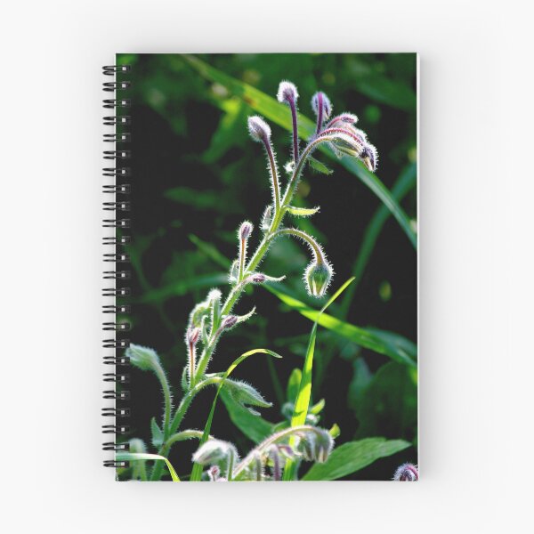 Item preview, Graceful Borage  designed and sold by photoclique.
