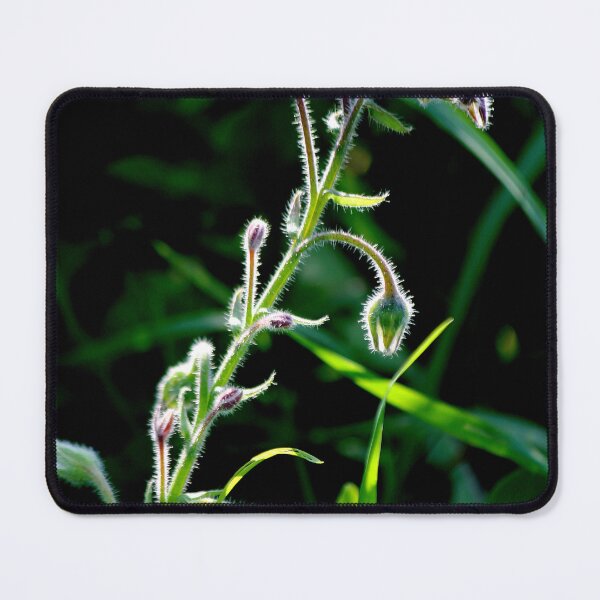 Item preview, Graceful Borage designed and sold by photoclique.
