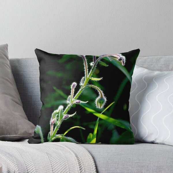 Item preview, Graceful Borage  designed and sold by photoclique.