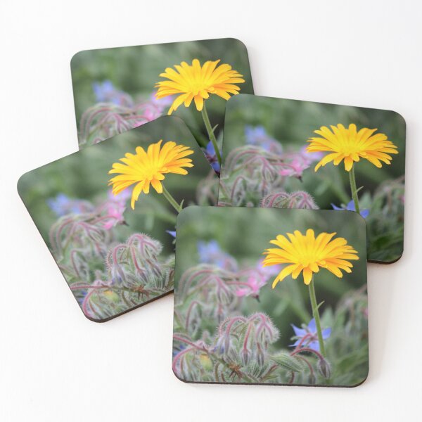 Item preview, Calendula with Borage  designed and sold by photoclique.
