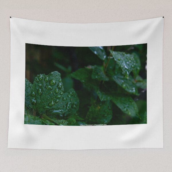 Item preview, Greens designed and sold by Robert Fleetwood.