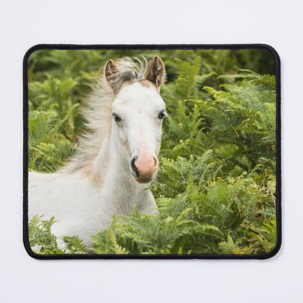 Item preview, Pony designed and sold by Jane Stanley Photography.