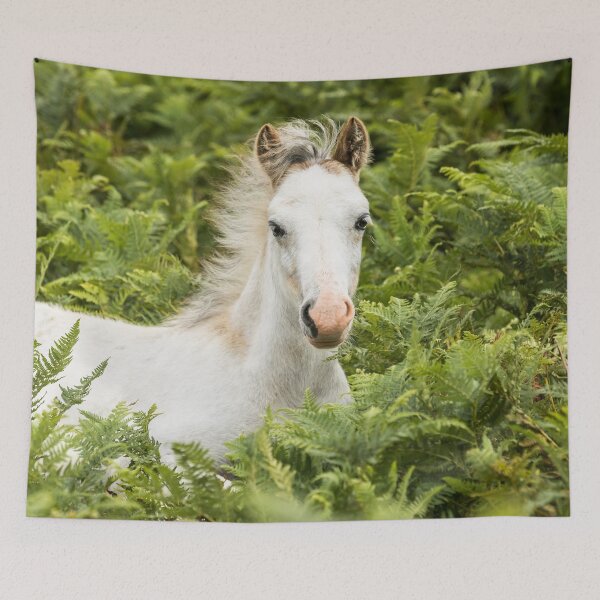 Item preview, Pony designed and sold by Jane Stanley Photography.