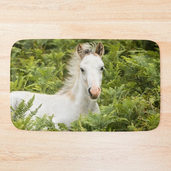 Item preview, Pony designed and sold by Jane Stanley Photography.