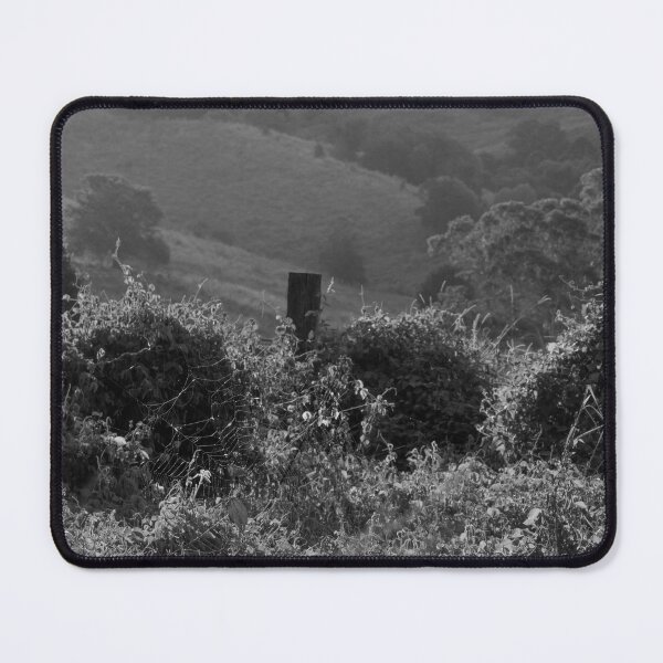 Item preview, Sun lit foreground designed and sold by Callum Morrison.