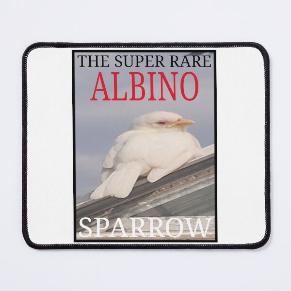 Item preview, SUPER RARE ALBINO SPARROW  designed and sold by awb1982.