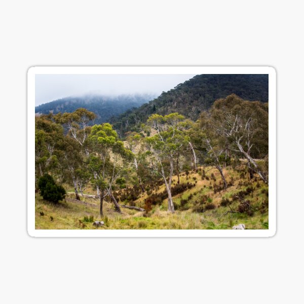 Item preview, High Country Gums designed and sold by WendyJC.