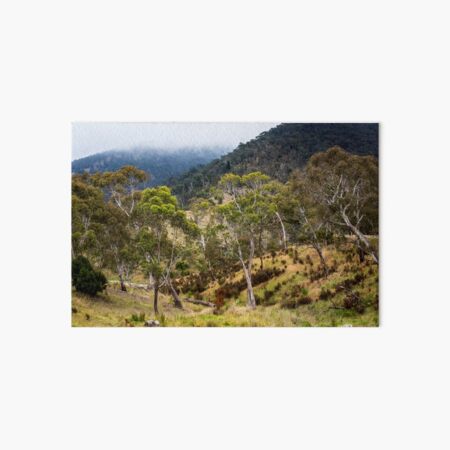 High Country Gums Art Board Print