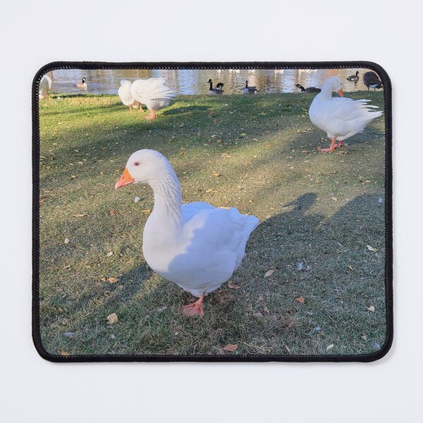 Item preview, Ducks at the park designed and sold by SaphiraJules.
