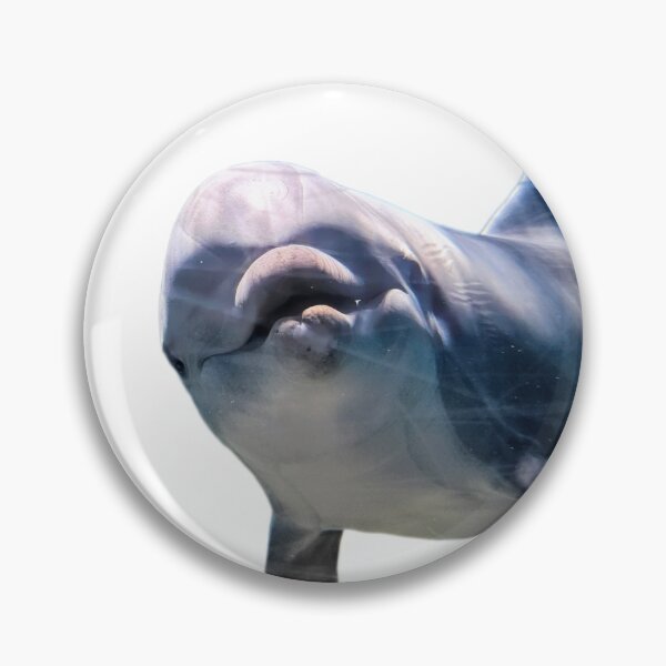 Item preview, Griffith the Bottlenose Dolphin designed and sold by Sugargrim3.