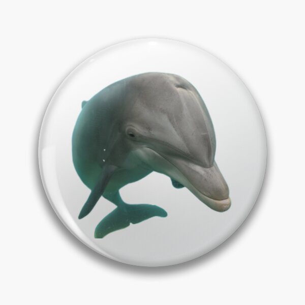 Item preview, Tasha the Bottlenose Dolphin designed and sold by Sugargrim3.
