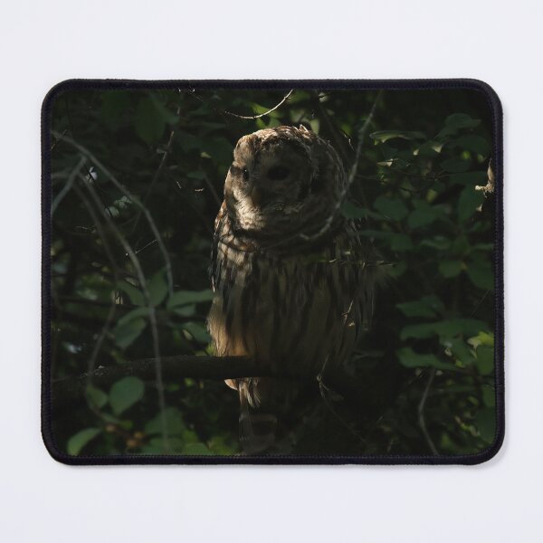 Item preview, Secretive designed and sold by locustgirl.