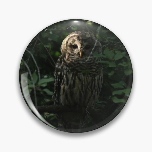 Item preview, Tranquil barred owl designed and sold by locustgirl.