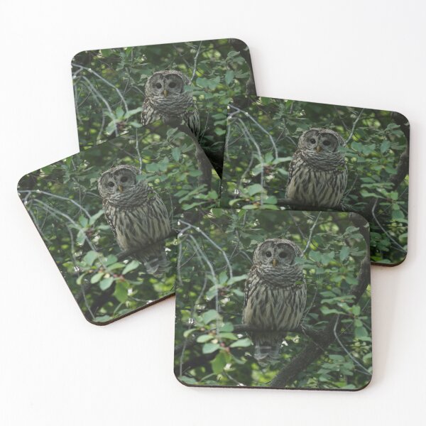 Item preview, Barred owl queen designed and sold by locustgirl.