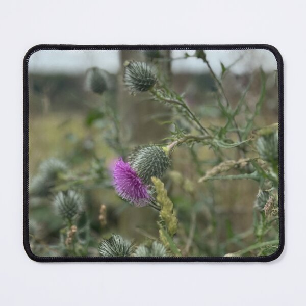 Item preview, The Thistle designed and sold by Karen Hairston.