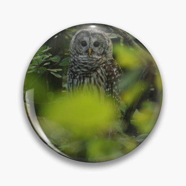 Item preview, Bewitched designed and sold by locustgirl.