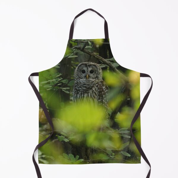 Item preview, Bewitched designed and sold by locustgirl.