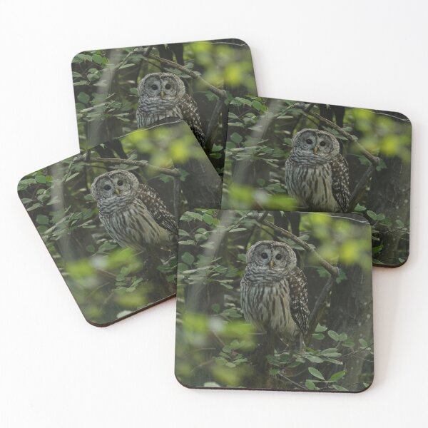 Item preview, Barred Owl designed and sold by locustgirl.
