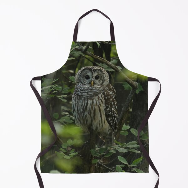 Item preview, Barred Owl designed and sold by locustgirl.