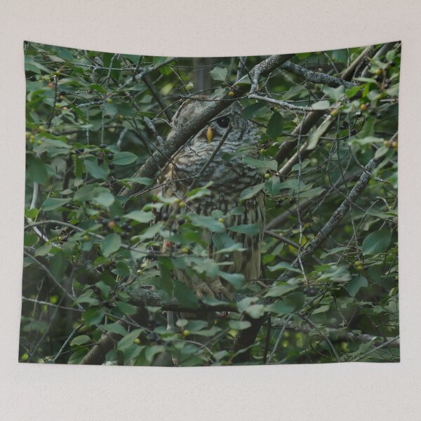 Item preview, Undercover barred owl designed and sold by locustgirl.