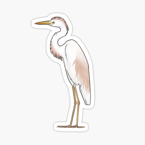 Item preview, Cattle Egret  designed and sold by chloeholmes135.