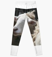 Sheepishly Handsome Leggings