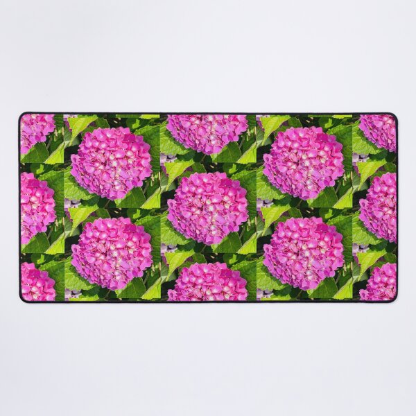 Item preview, Bright Pink Hydrangea Photograph designed and sold by Shannon Greve.