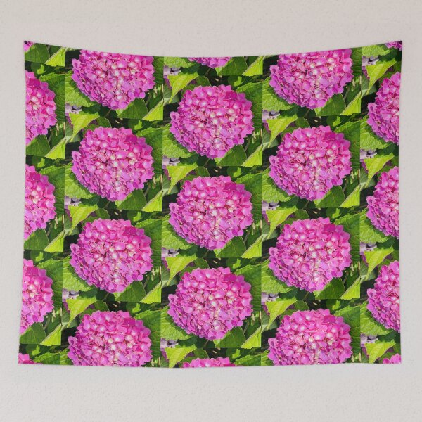 Item preview, Bright Pink Hydrangea Photograph designed and sold by Shannon Greve.