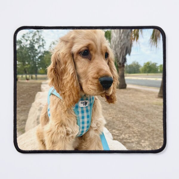 Item preview, Dog sitting on the rock designed and sold by AliciaSanson.