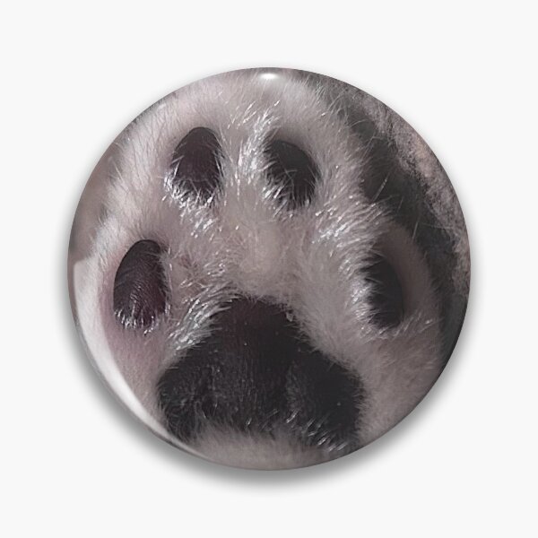 Item preview, soft kitty paw photo designed and sold by winterlandnatka.