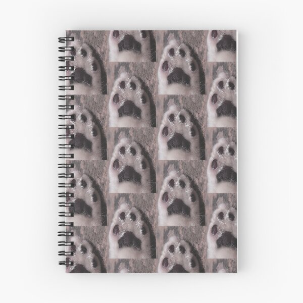 Item preview, soft kitty paw photo designed and sold by winterlandnatka.