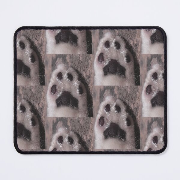 Item preview, soft kitty paw photo designed and sold by winterlandnatka.