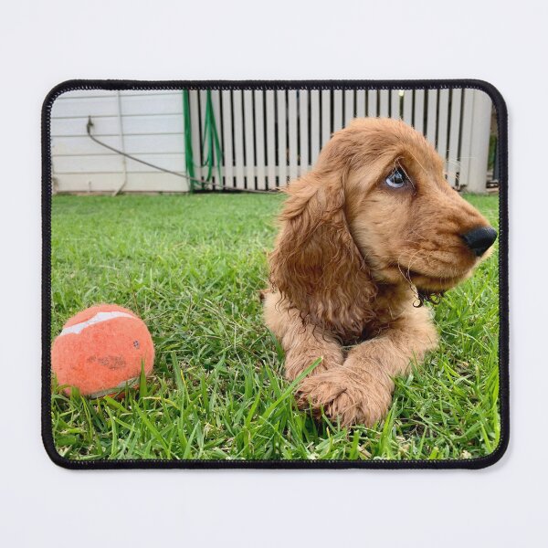 Item preview, Dog and ball designed and sold by AliciaSanson.