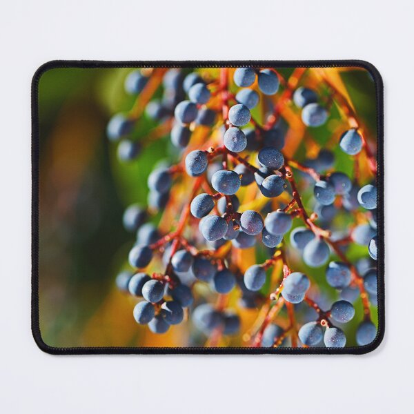 Item preview, The Look Alike Blue Grapes designed and sold by Joy Watson - Natural Light Photography .