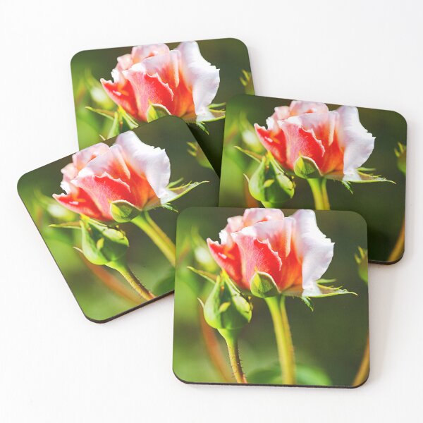 Item preview, A Rose Bud Is Love designed and sold by Joy Watson - Natural Light Photography .