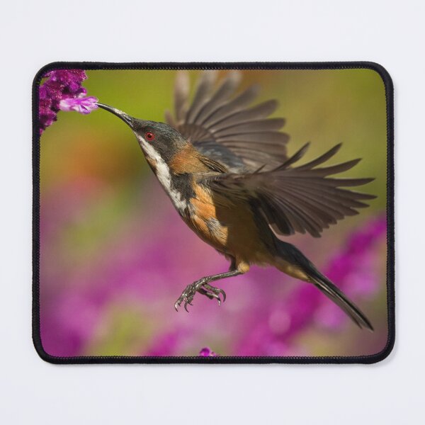 Item preview, Wings In Motion designed and sold by CBoyle.