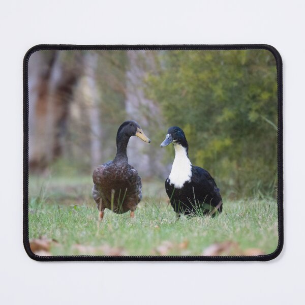 Item preview, Ducks designed and sold by Idleduck.