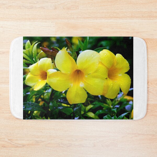 Item preview,  Allamanda Cathartica Flowers designed and sold by MercerImages.