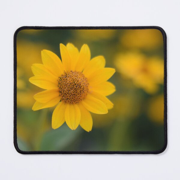 Item preview, Yellow summer flower  designed and sold by CatherineMoore4.