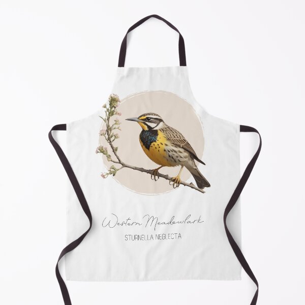 Item preview, Western Meadowlark, bird illustration vintage, Sturnella neglecta, North American birds, ornithology designed and sold by lagunaklein.
