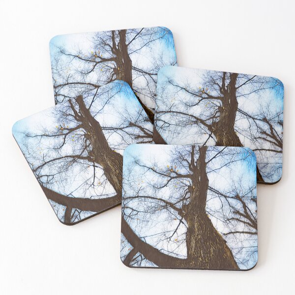 Item preview, Bare Linden Tree Against Sky designed and sold by Taina Sohlman.
