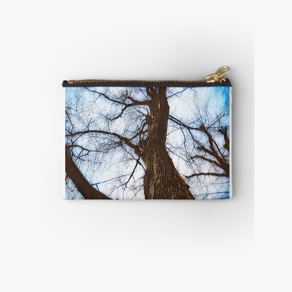 Item preview, Bare Linden Tree Against Sky designed and sold by Taina Sohlman.